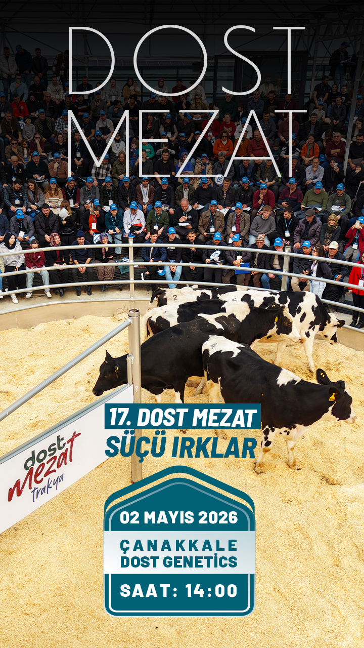  | Dost Mezat