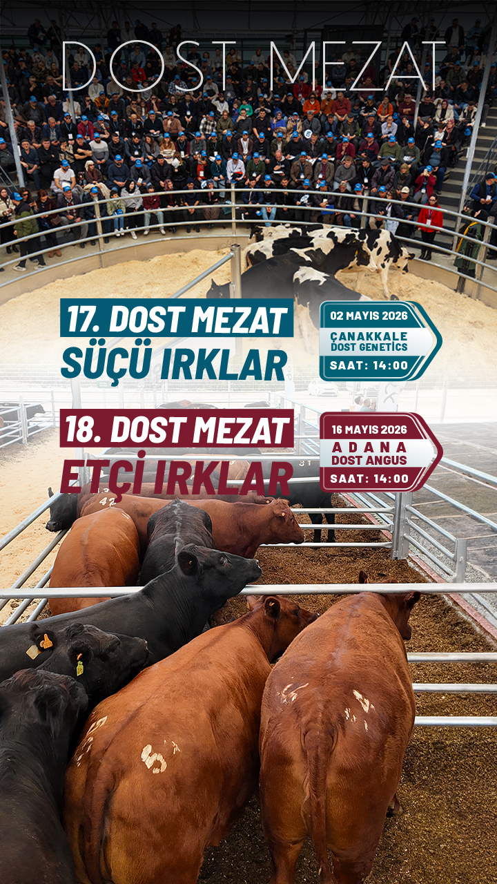  | Dost Mezat