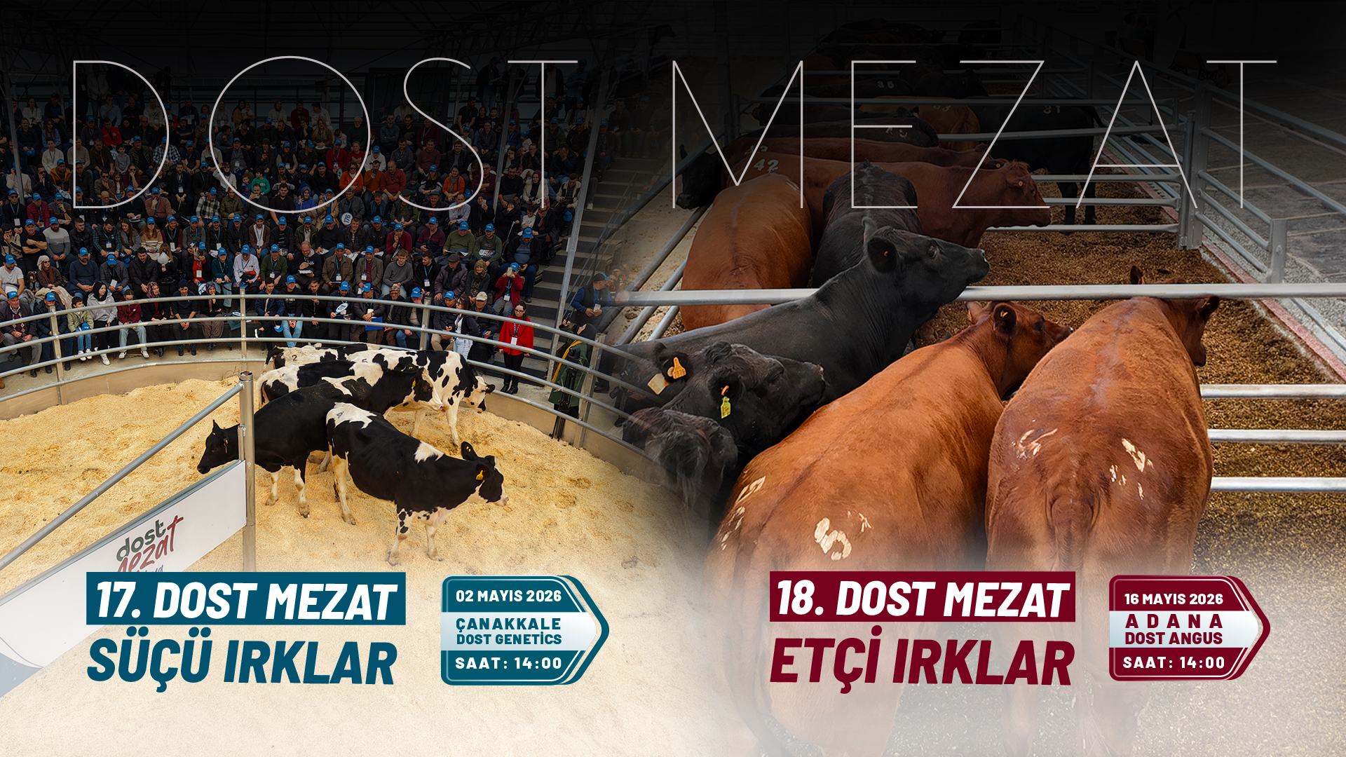  | Dost Mezat